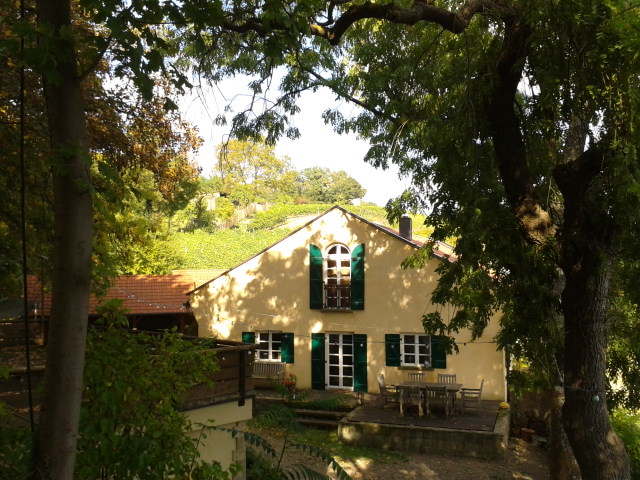 Franken_kulinarisch_Andrea_Gerum_Schweinfurt_001_2013